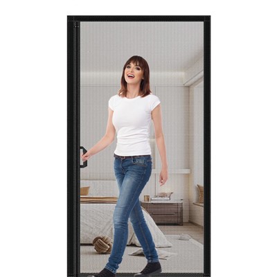 Магниттік шыбын экраны